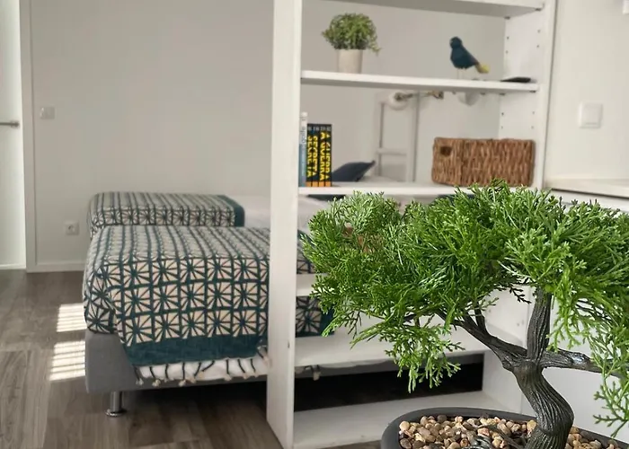 بيت ضيافة Botica 4*