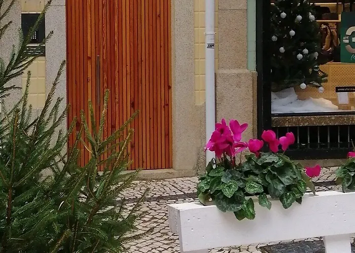 بيت ضيافة Botica