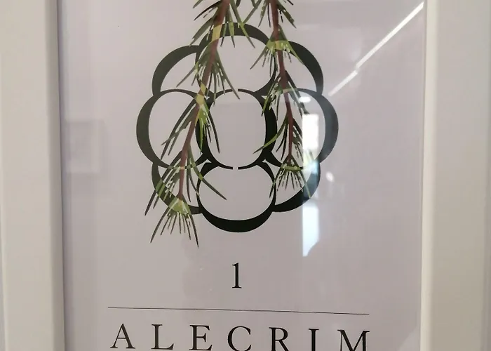 Botica بيت ضيافة