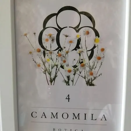 Maison d'hôtes Botica Espinho (Aveiro)