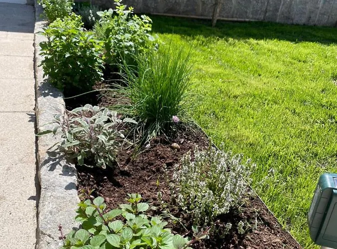 Botica ゲストハウス