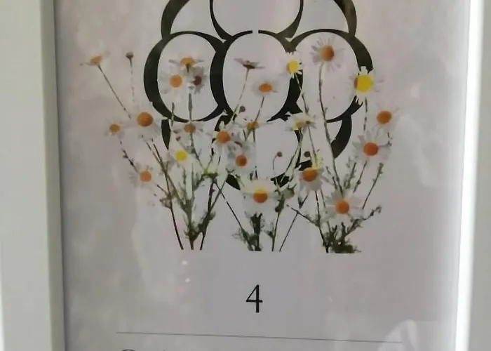 ゲストハウス Botica エスピーニョ