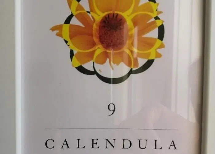 Affittacamere Botica Espinho (Aveiro)