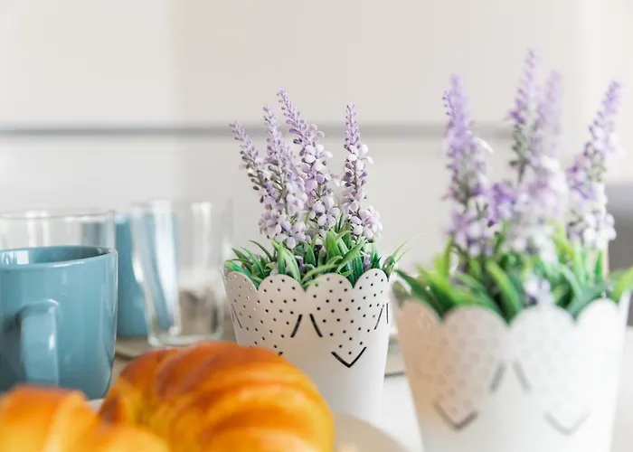 ゲストハウス Botica